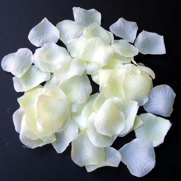 IVORY rose petal - 400/pk