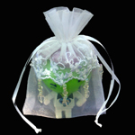 4" X 6" EMBROIDERED LACE BEADED ORGANZA WEDDING FAVOR BAG-24/PK, WHITE